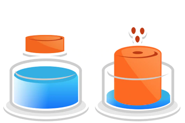 *FREE GIFT w/any-size order today! All-in-1 Romaine Lettuce Starter Kit