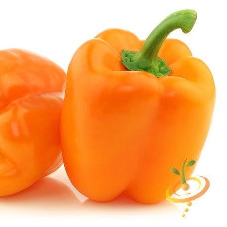Buy Orange King Sweet Bell Pepper Seeds online from the USA. These large, sweet, mild peppers are crunchy, juicy, and perfect for salads, pickles, or roasting.