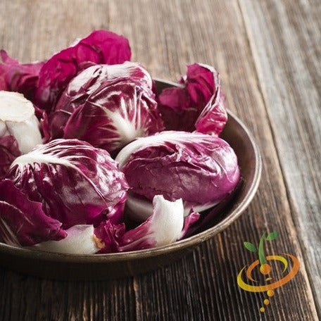 Buy Radicchio Classic Red (Italian Chicory) seeds online from USA now!