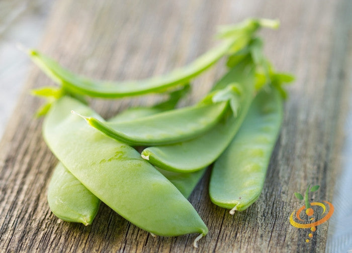 Close-up of fresh Oregon Sugar Pod peas on a wooden surface