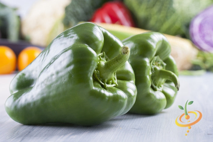 Hot Poblano pepper seeds from SeedsNow, showing vibrant green seeds and pepper pods, ideal for spicy cooking and gardening.