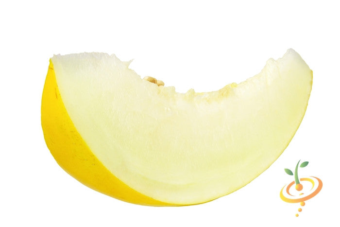 Golden yellow melon seeds from SeedsNow, showing vibrant melon seeds on a white background.