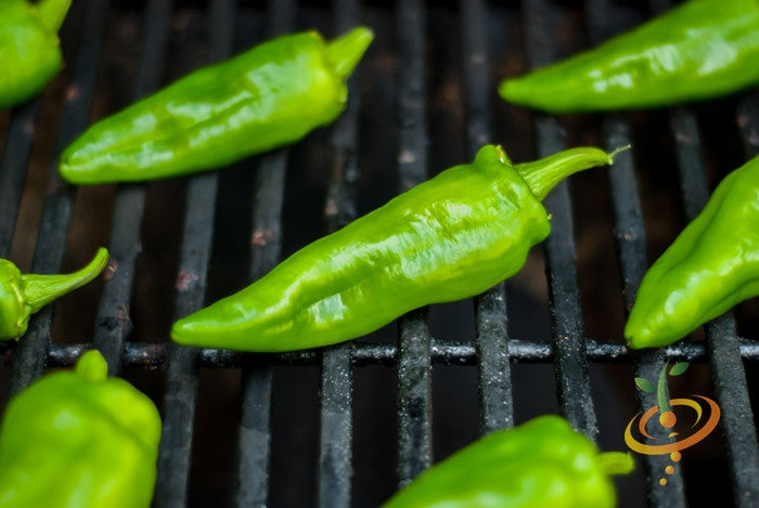 Fresh green Anaheim chili peppers on a grill, showcasing mild, tangy peppers ideal for cooking and seeds planting