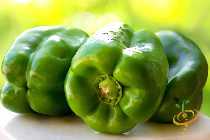 Three fresh green Yolo Wonder sweet peppers on a white surface with a blurred natural background
