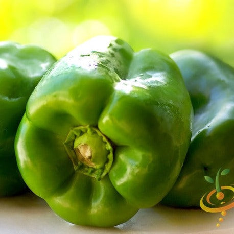Buy Yolo Wonder Sweet Pepper Seeds Online from the USA. These large, juicy, and sweet green bell peppers are heat resistant and produce high yields. Buy seeds now!