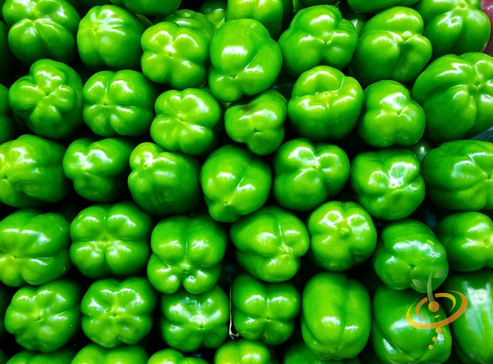 Fresh green Yolo Wonder sweet peppers closely packed together