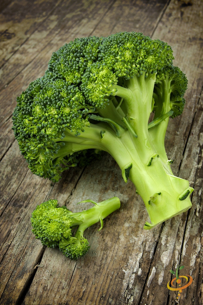 Broccoli Di Cicco seeds fresh green broccoli florets on wooden surface