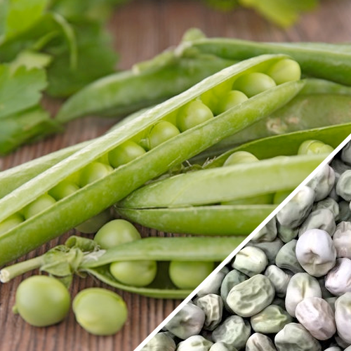 Close-up of fresh green pea pods and shelled Progress No. 9 seeds on wooden surface