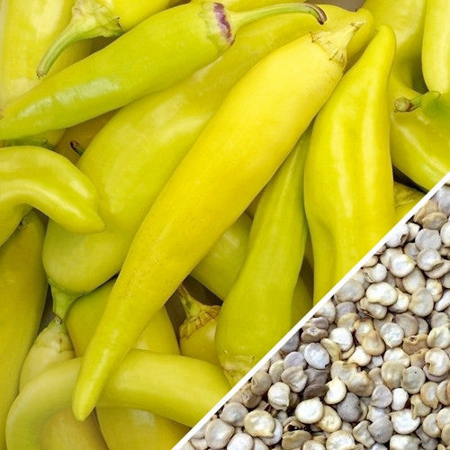 Yellow banana pepper seeds from SeedsNow, showing small, vibrant sweet pepper seeds in a close-up view.