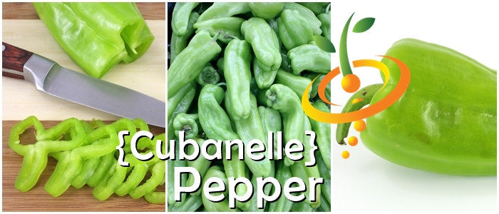 Sweet Cubanelle pepper seeds from SeedsNow, small seed packet with colorful label showcasing the Cubanelle pepper variety.