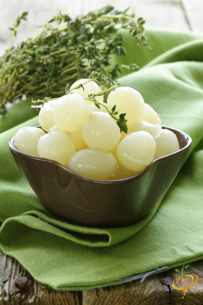 Pearly White onion seeds from Barletta variety displayed in a seed packet, suitable for planting onion bulbs.