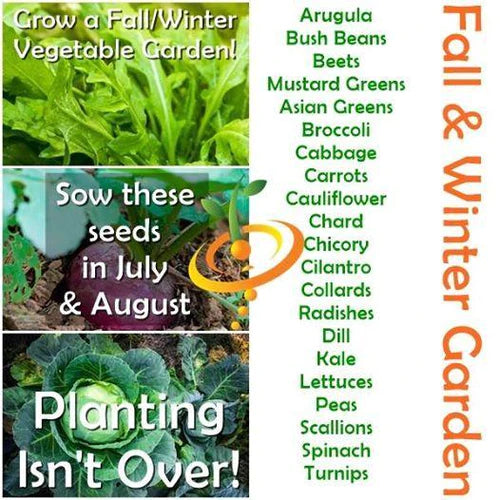 Prepare NOW for a garden in the fall!