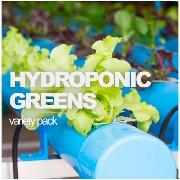 All-in-One Hydroponic Greens Variety Pack - SeedsNow.com