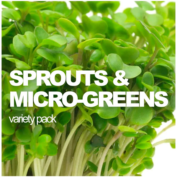 All-in-One Sprouts/Microgreens Variety Pack - SeedsNow.com
