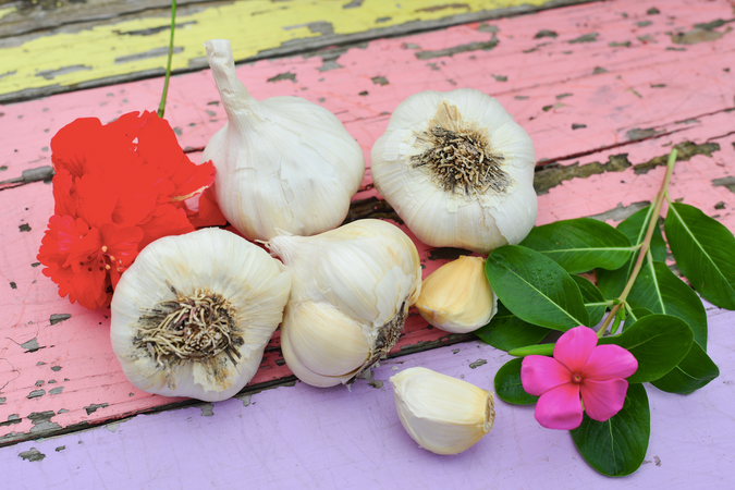 *NEW!* All-in-One Organic Garlic Variety Pack