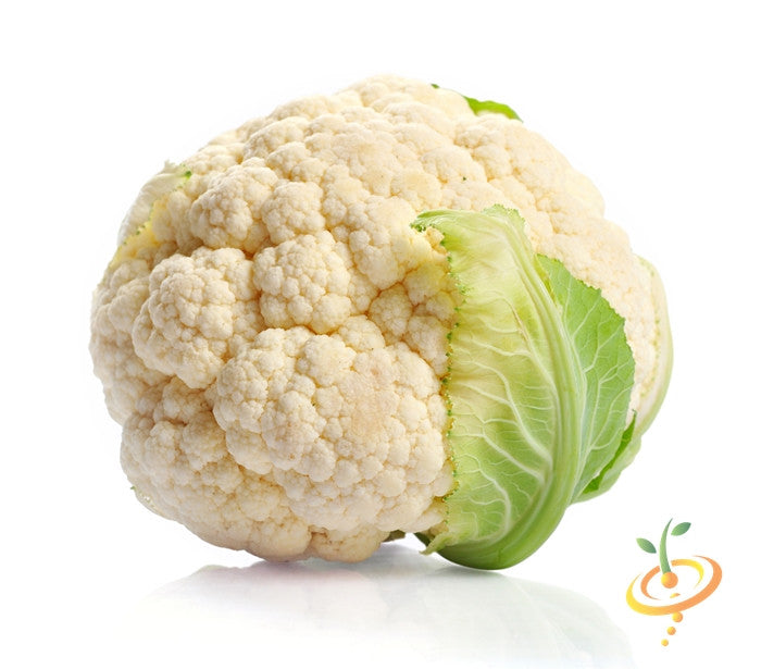 Cauliflower - Snowball/Self-blanche (White).