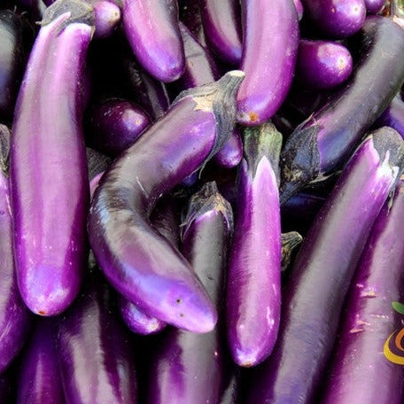 Eggplant - Long Purple Italian - SeedsNow.com