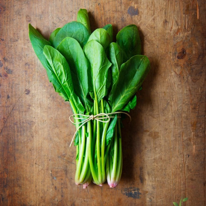 Spinach - Bloomsdale - SeedsNow.com