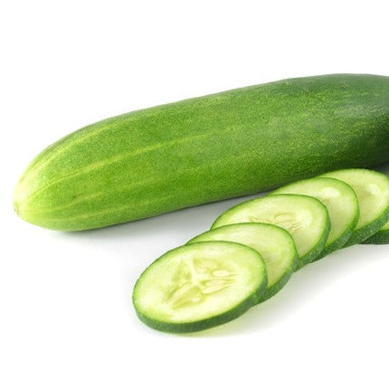 Cucumber - Everbearing - SeedsNow.com
