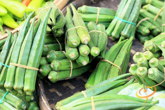 Okra - Dwarf Long Pod.