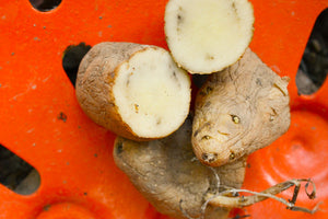 Potato (Late-Season) Fingerling - Russian Banana (ORGANIC) - SeedsNow.com