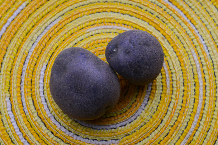 Potato (Mid-Season) - Purple Majesty (ORGANIC) - SeedsNow.com