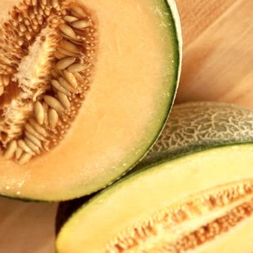 Melon (Cantaloupe) - Heart of Gold - SeedsNow.com