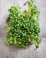 Sprouts/Microgreens - Cress.