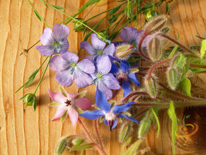 Borage.