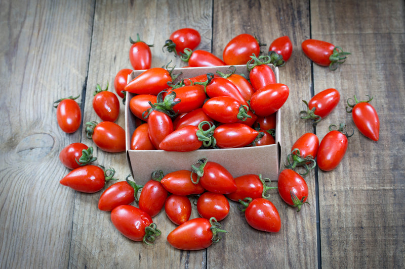 Tomato - San Marzano (Indeterminate) - SeedsNow.com